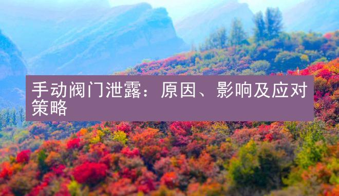 手动阀门泄露：原因、影响及应对策略